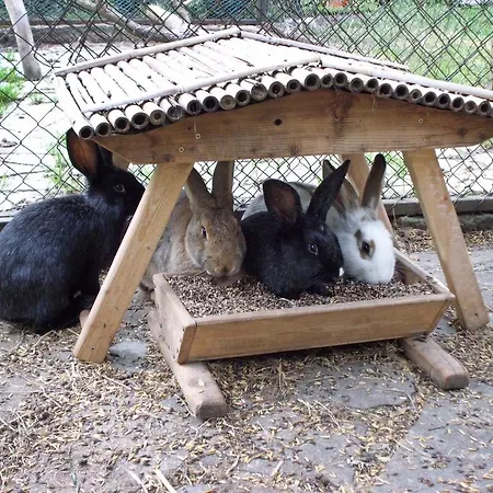 Holiday 2 Prázdninový dům *